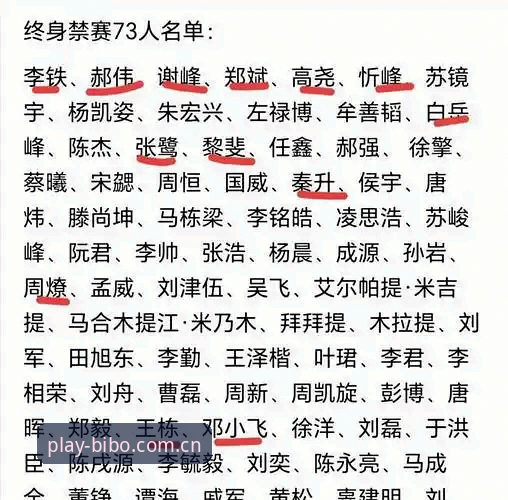 中国足协第三批禁足名单深度评测——必博体育用户视角下的行业震荡与反思