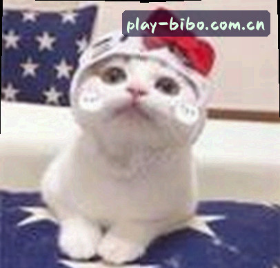 郑晓